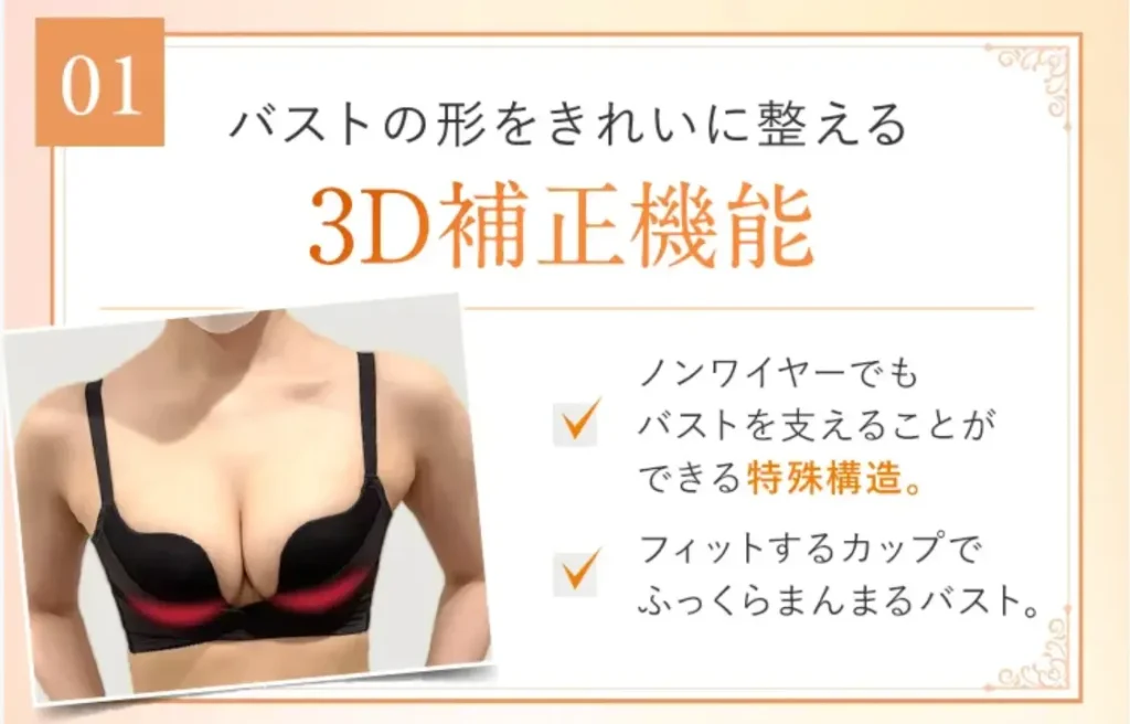 PGブラ　３D補正機能